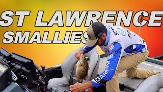 Big Smallmouth Fishing On The St. Lawrence River