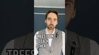 Trees Talk To Each Other