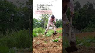 Hot summer feels, tilling my garden #countryside #countryliving