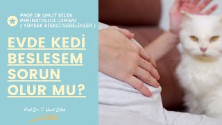 EVDE KEDİ BESLESEM SORUN OLUR MU?