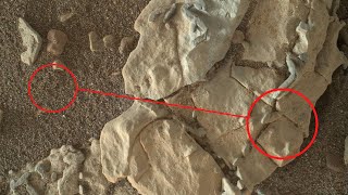 Curiosity  mysterious rock images of Mars may hint ancient life on Mars