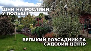 Ціни на рослини у Польщі! Великий розсадник та садовий центр.