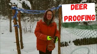 Deer Proof Fence