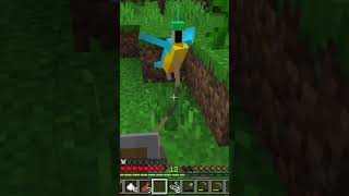 The Life & Death Of Polly Parrot Part1 #minecraft #scottishgamer #gaming #scottishdadplays #kittykat