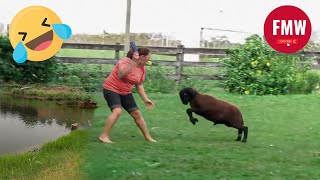 Funny & Hilarious People's Life 😂 #71 - Try not to Laugh | Funny Fails Compilation 2024