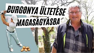 Burgonya ültetése magaságyásba - késésben a krumpli  I  Kreatív Farmer