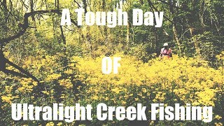 Ultralight Creek Fishing Huntsville Alabama (A Hard Day Out)