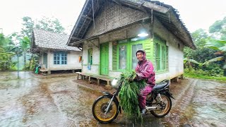 WAH SEENAK INI, HUJAN TURUN DI DESA YANG INDAH, SUASANA PELOSOK KAMPUNG SUNDA JAWA BARAT INDONESIA