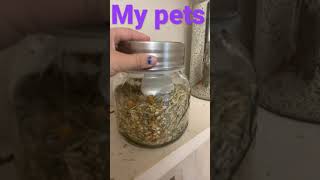 My pet routine😁￼