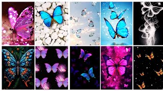 Butterfly Photo wallpaper 🦋/ Butterfly picture wallpaper / Butterfly picture pic images status photo