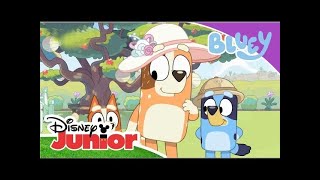 Cine e la Zoo? | Blue | Disney Junior România