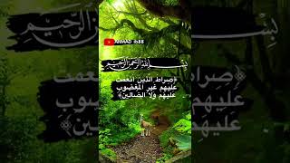 تلاوة للقارئ هيثم الدخين ( سورة الفاتحة) 🌴