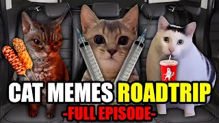 Cat MEMES Roadtrip Compilation Full 1 Hour