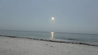 Full Moon Above The Gulf ~ The Sun Begins To Light ~ Birds Chirp ~ Waves Sound ~ The Beach Awakens 🌕