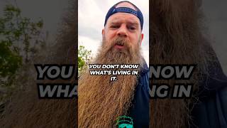 You don't know what's living in your beard! #beardlife #beardgrowth #beardproblems