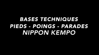 BASES PIEDS POINGS PARADES NIPPON KEMPO