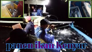 iwak e rame gessss,gari mbuubuti || jigging malam dilaut || selatan banyuwangi