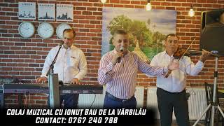 Ionut Bau -  Cea mai nou melodie cu dedicatie femeilor