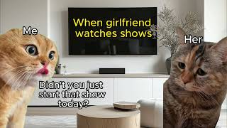 Girlfriend watches TV shows | 2 Cats Talking Meme | Talking Cats Meme | Relationship Cats Meme