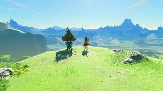 Nostalgic BotW Clip Compilation