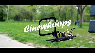 FPV Cinewhoop - Video Experience