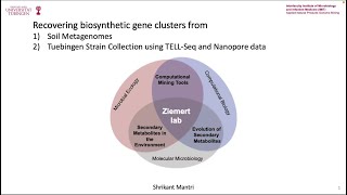 Recovering biosynthetic gene clusters from Tübingen Strain Collection with TELL-Seq & Nanopore data