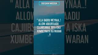 Shukri iyo Aniga maxaan duulimaadkeenii Muqdisho is dhaafsanay..?