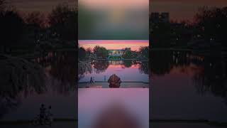 Wade Lagoon Day to Night Timelapse During Cherry Blossom Bloom #shorts #shortsvideo