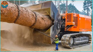 Dangerous Fastest Wood Chipper Machines Working and Extreme Powerful Tree Shredder Machines