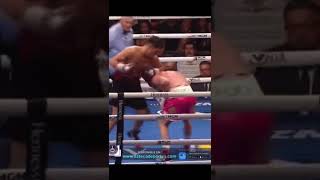 Bivol Knocks down Canelo!😱🥊