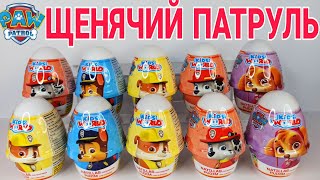 ЩЕНЯЧИЙ ПАТРУЛЬ - НОВАЯ СЕРИЯ ГЕРОЕВ ИЗ ДЕСЕРТОВ