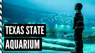 SPENDING THE DAY AT TEXAS STATE AQUARIUM | Corpus Christi, TX | The Bartel Family