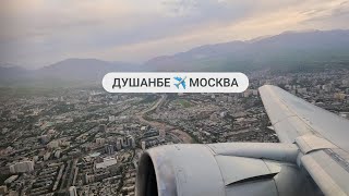 ЛЕТИМ ИЗ ДУШАНБЕ В МОСКВУ | ПЕРЕЛЁТ С СОБАКОЙ