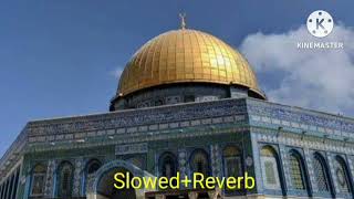 Labbaik ya Aqsa || Muslim h to chal masjid e aqsa ko bachaanay