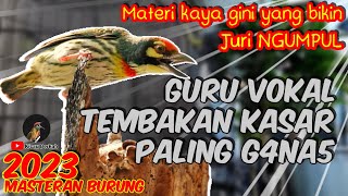 MASTERAN BURUNG FIGHTER TERBAIK || BURUNG Tembakan Kasar UNTUK MASTERAN - JURI NGUMPUL