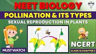 Pollination and Its Types | Sexual Reproduction in Plants | Class 12 Chapter 2 | NEET Biology MCQs