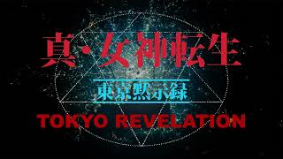 Nightmare - SMT: Tokyo Revelation OVA