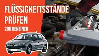 Die Flüssigkeitsstände prüfen Peugeot 206 1.4 8V 📏