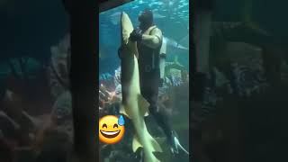 world famous top one funny content #shorts#viral