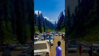 سوات(گبین جبہ)کا صورتحال۔Ghabin jabba Swat