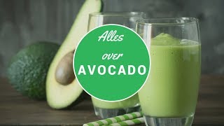 Avocado's: alles wat je moet weten