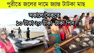 পুরীতে সকালে সস্তায় জ্যান্ত মাছ কিনুন | Puri Beach Fish Market | Puri Beach Fish Price | Sea Beach