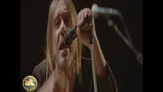 Iggy Pop Lust For Life Live