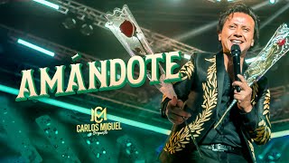 CARLOS MIGUEL- AMANDOTE