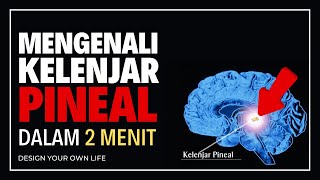 Kenalan yuk Sama Kelenjar Pineal! Irama Sirkadian. Melatonin. #kelanjarpineal