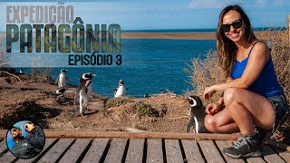 Ep.3: Península Valdés | Expedição Patagônia