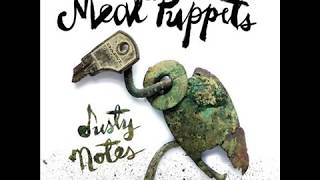 Meat Puppets Studio Albums Ranked Worst to Best