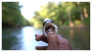 Ultralight Fishing The Flint River   A Good Day Out