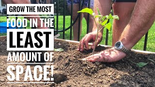 Grow The Most Food in the LEAST Amount of Space | Planting Your First Raised Beds