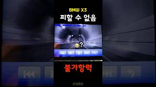 피하면 큰일 나는 사고- 터널 로드킬